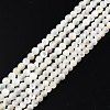 Natural White Shell Bead Strands SSHEL-N003-144A-01-1