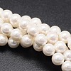 Shell Pearl Beads Strands X-BSHE-E008-8mm-12-1