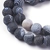 Natural Weathered Agate Beads Strands G-P414-A06-3