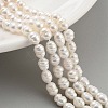 Natural Cultured Freshwater Pearl Beads Strands PEAR-P062-06C-2