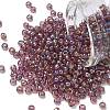 TOHO 6/0 Round Beads X-SEED-TR06-0166B-1