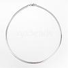 Non-Tarnish 304 Stainless Steel Necklaces NJEW-D274-02P-1