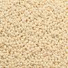 TOHO Round Seed Beads SEED-JPTR11-0123-2