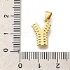 Rack Plating Brass Micro Pave Cubic Zirconia Pendants KK-L226-100G-Y-3