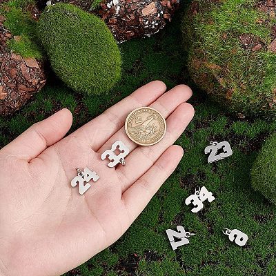 6Pcs 6 Style 316 Surgical Stainless Steel Charms STAS-UN0040-38P-1