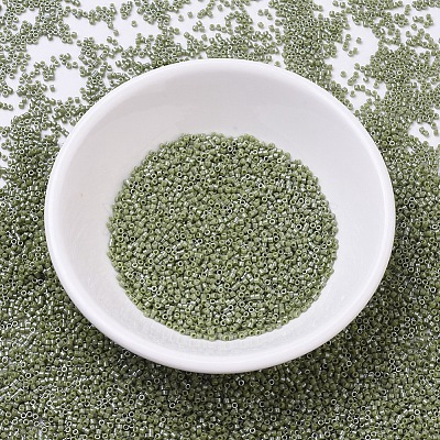 MIYUKI Delica Beads SEED-J020-DB0263-1