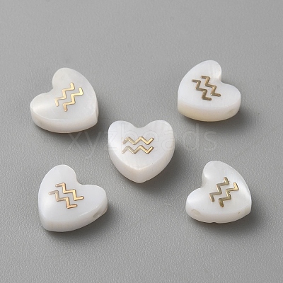 5Pcs Natural White Shell Beads BSHE-TAC0004-02A-1