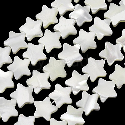 Natural Trochid Shell/Trochus Shell Beads Strands SH-CBA2978-17B-1