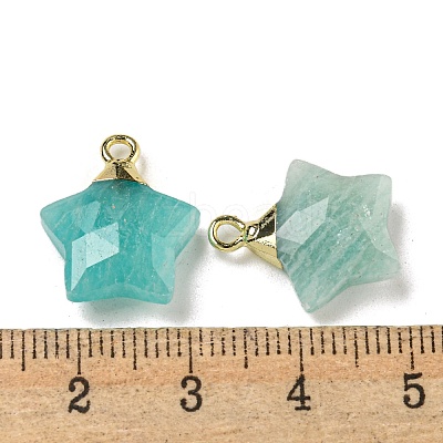 Natural Amazonite Pendants G-P540-01G-03-1