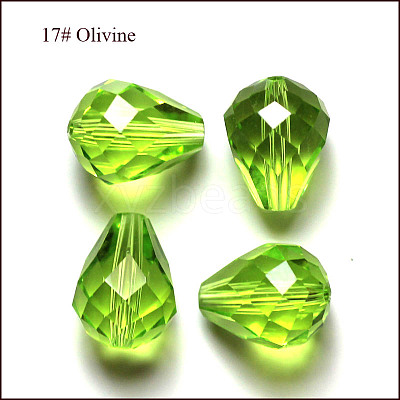 Imitation Austrian Crystal Beads SWAR-F062-10x8mm-17-1