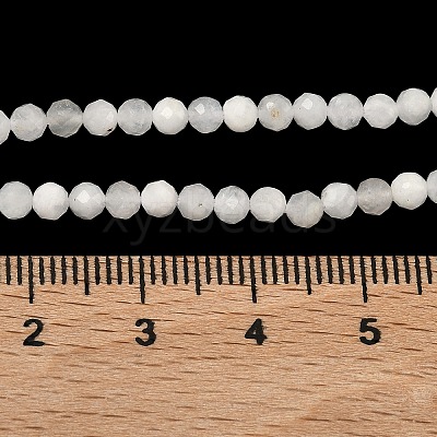 Natural Rainbow Moonstone Beads Strands G-B168-A11-3mm-1