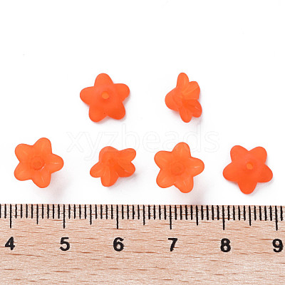 Transparent Acrylic Beads PL554-06-1