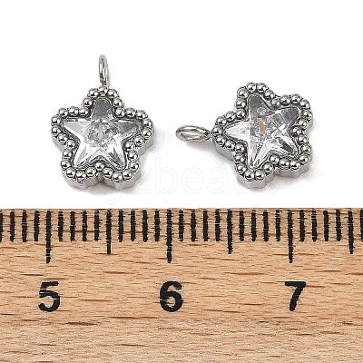 304 Stainless Steel Micro Pave Cubic Zirconia Charms LS-STAS-K302-01A-P-1