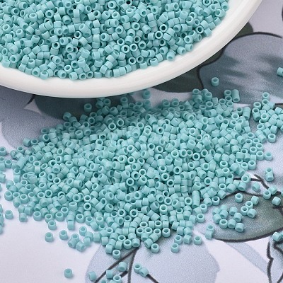 MIYUKI Delica Beads Small SEED-X0054-DBS1595-1