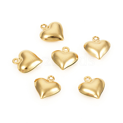 304 Stainless Steel Charms STAS-I149-02G-1