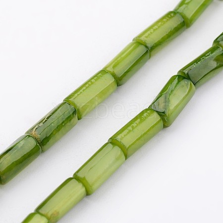 Natural Shell Bead Strands BSHE-P016-16-1