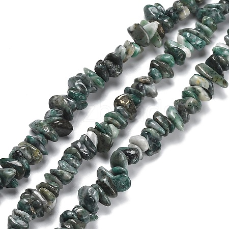 Natural South Africa Jasper Beads Strands G-P497-03A-03-1