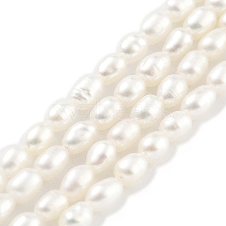 Natural Cultured Freshwater Pearl Beads Strands PEAR-P062-01F-1