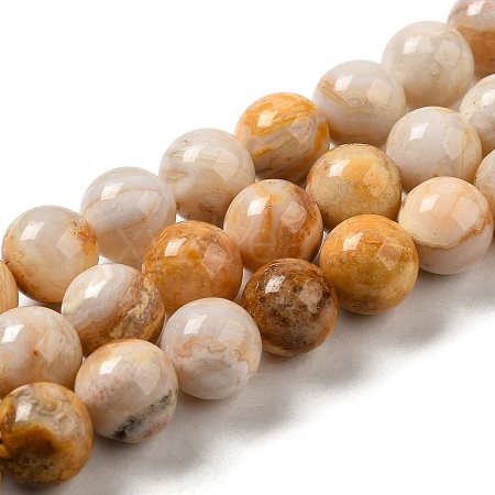 Natural Crazy Lace Agate Beads Strands G-H298-A12-04-1
