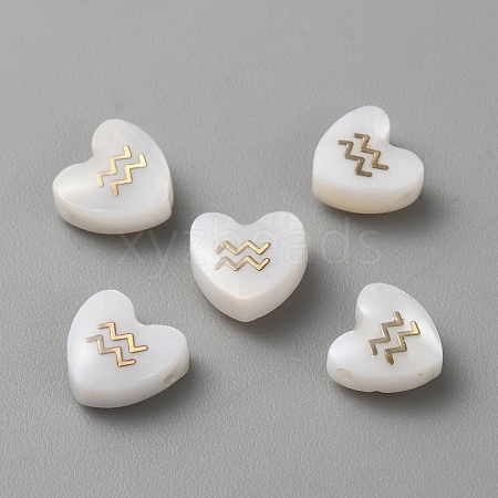 5Pcs Natural White Shell Beads BSHE-TAC0004-02A-1