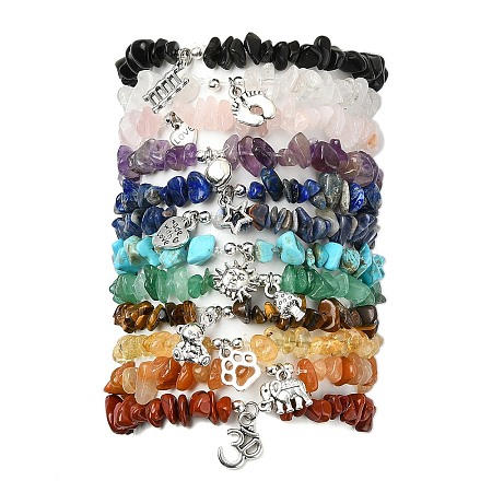 12Pcs 12 Styles Mixed Gemstone Chip Beaded Stretch Bracelet Sets BJEW-JB10913-1