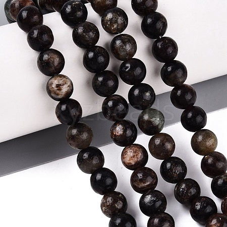 Natural Biotite Beads Strands G-Q616-01C-1