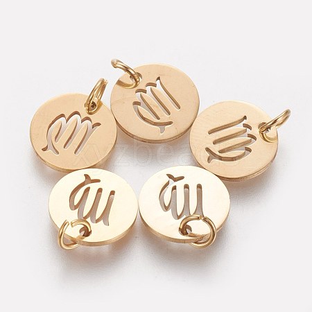 Ion Plating(IP) 304 Stainless Steel Pendants A-STAS-Q201-T445-6G-1