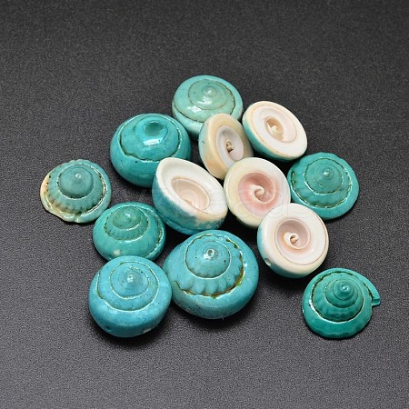 Dyed Natural Shiva Eye Shell Beads BSHE-O007-26B-1