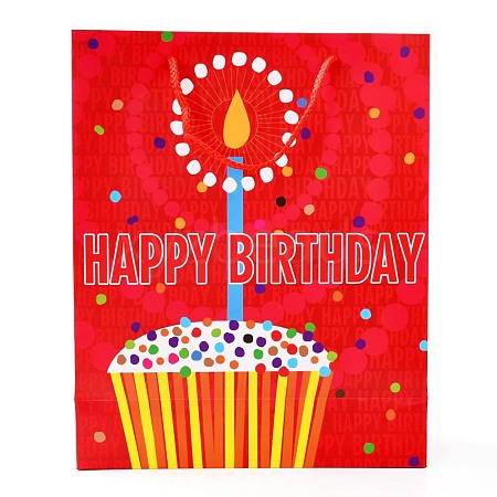 Birthday Theme Rectangle Paper Bags CARB-E004-03E-1