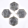 Natural Labradorite Pendants G-T112-19A-1