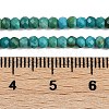 Natural Turquoise Dyed Beads Strands G-H070-A01-01-5