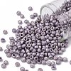 TOHO Round Seed Beads SEED-XTR08-0554F-1