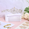 Bride to Be Veil & Alloy Bride Crown Hair Band & Glitter Bachelorette Sash & Sticker Set OHAR-WH0029-10-3