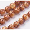 Shell Beads Strands BSHE-P026-39-1