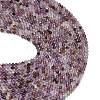 Natural Purple Phantom Quartz/Purple Lodolite Quartz Beads Strands G-L661-A01-4mm-3