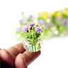 Mini Glass & Plastic Hydroponic Potted Plants PW-WG23EEA-02-1