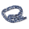 Natural Blue Spot Jasper Beads Strands G-I394-A08-3