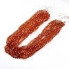 Baking Paint Transparent Glass Beads X1-DGLA-A035-T10mm-A04-2