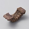 Mini Resin Display Decorations FIND-WH20019-71G-2