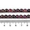 Natural Plum Blossom Tourmaline Beads Strands G-K364-B01-01-5