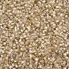 Glass Bugle Beads SEED-S032-09A-634-A-3