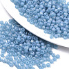 Frosted Colours Glass Beads SEED-S040-02A-02-1