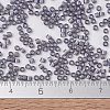 MIYUKI Delica Beads SEED-J020-DB1789-4