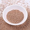 MIYUKI Delica Beads SEED-MY11-DB0434-2