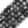 Natural Hawk's Eye Beads Strands G-L478-03-8mm-01-1