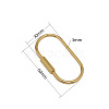 Brass Screw Carabiner Lock Charms LS-KK-ZX025-62C-2