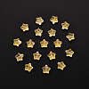 20Pcs Spray Painted Glass Beads GLAA-YW0001-15-1