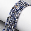 Natural Blue Spot Jasper Beads Strands G-Z116-A02-2mm-1