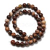 Natural Gemstone Beads Strands G-R494-A22-03-2
