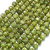 Natural Chinese Jade Beads Strands G-K389-E85-01-1